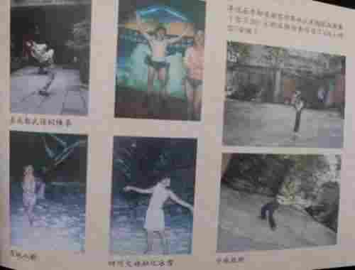 当代中医事业奠基人李乘伊院士